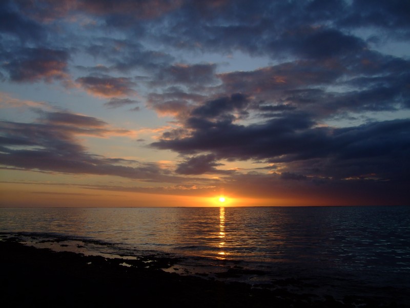 Mauritius 2010 - 0104 